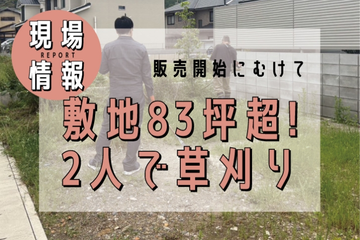 ブログ記事