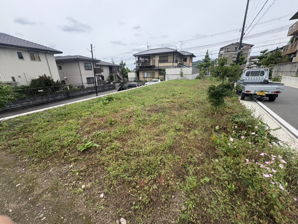 S__56360964.jpg
