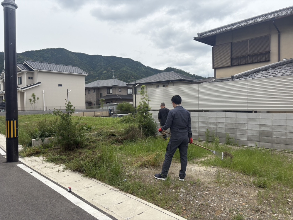 S__56360968.jpg