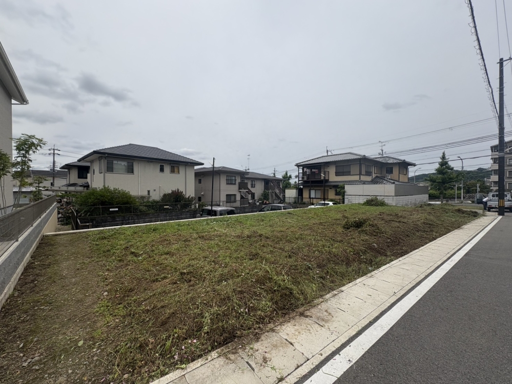 S__56360972.jpg