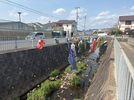 こいのぼり②.jpg