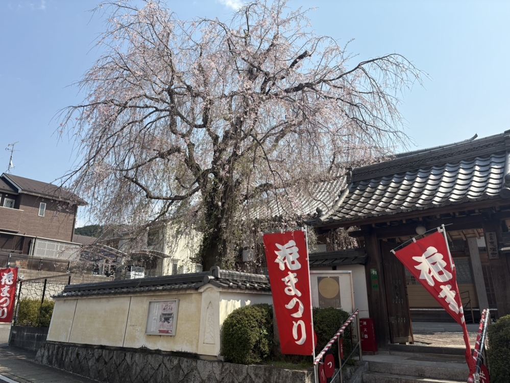 花まつり②.jpg